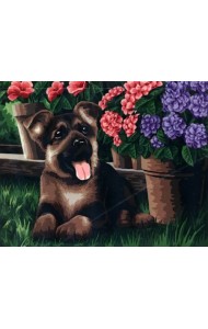 Рисование по номерам. Маленький друг