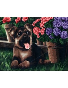 Рисование по номерам. Маленький друг Рисование по номерам. Маленький друг