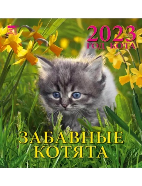 Календарь на 2023 год. Год кота. Забавные котята
