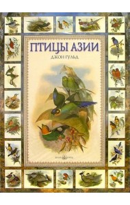 Птицы Азии
