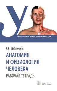 Анатомия и физиология человека. Рабочая тетрадь. Учебное пособие