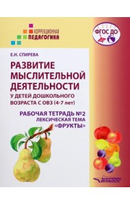 Развитие мыслительной деятельности у детей дошкольного возраста с ОВЗ (4-7 лет). Рабочая тетрадь № 2