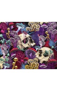 Картина по номерам. Ванитас