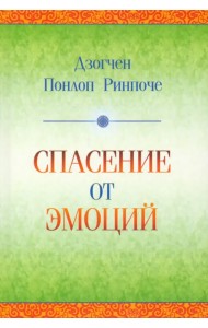Спасение от эмоций. Как работать со своими эмоциями и трансформировать боль и смятение в энергию