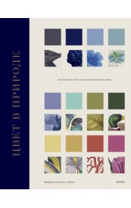 Цвет в природе. Коллекция красок окружающего мира