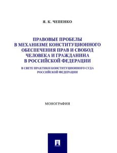 Правовые пробелы в механизме конституционного обеспечения прав и свобод человека и гражданина в РФ Правовые пробелы в механизме конституционного обеспечения прав и свобод человека и гражданина в РФ