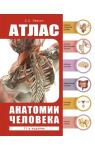 Атлас анатомии человека