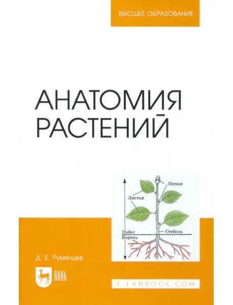 Анатомия растений. Учебное пособие