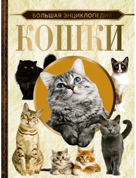 Большая энциклопедия. Кошки