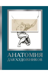 Анатомия для художников