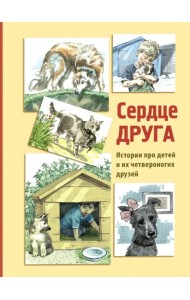 Сердце друга