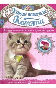 Какие лапочки! Котята