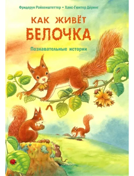 Как живёт белочка. Познавательные истории