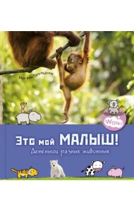 Это мой малыш! Детёныши разных животных