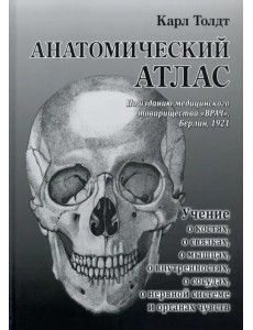 Анатомический атлас