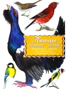Дидактические карточки Птицы наших лесов