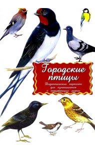 Дидактические карточки Городские птицы