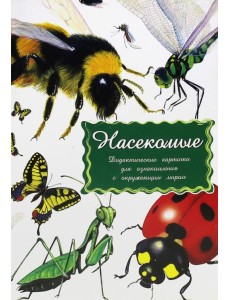 Дидактические карточки Насекомые