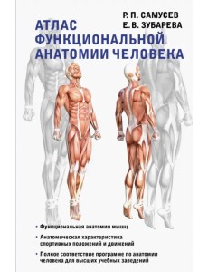 Атлас функциональной анатомии человека. Учебное пособие Атлас функциональной анатомии человека. Учебное пособие