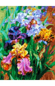 Живопись на холсте. Ирисы садовые