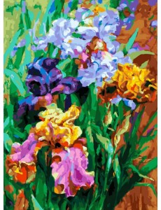 Живопись на холсте. Ирисы садовые Живопись на холсте. Ирисы садовые