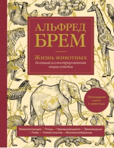 Жизнь животных. Большая иллюстрированная энциклопедия Жизнь животных. Большая иллюстрированная энциклопедия