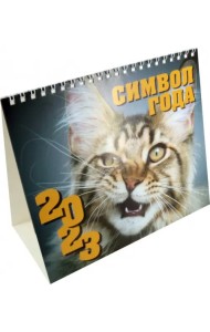 Календарь-домик на 2023 год. Кот