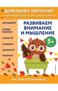 Развиваем внимание и мышление. Для детей от 5 лет