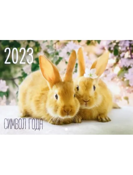 Календарь на 2023 год, настенный, перекидной. Кролик