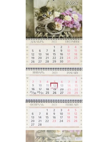 Календарь квартальный на 2023 год Котенок