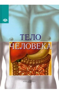 Тело человека