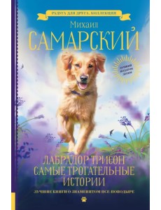 Лабрадор Трисон. Самые трогательные истории
