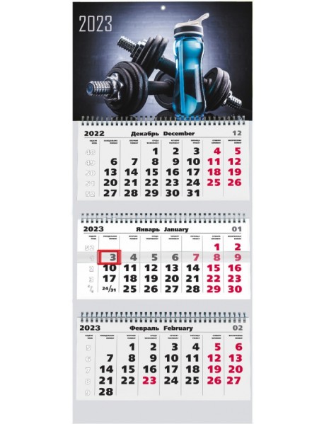 Календарь квартальный на 2023 год Stay healthy 4