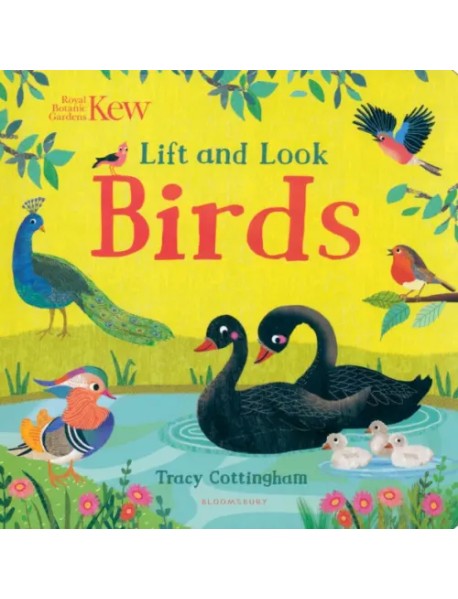 Kew. Lift and Look Birds