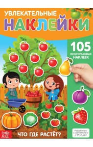 Наклейки многоразовые Что где растёт?