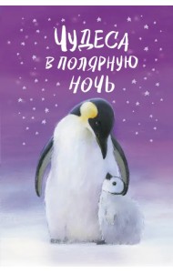 Чудеса в полярную ночь