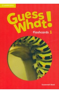 Guess What! Level 1. Flashcards, pack of 95