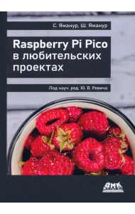 Raspberry Pi Pico в любительских проектах