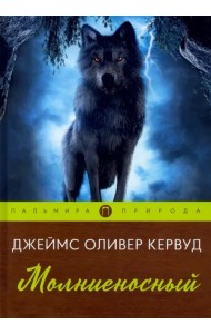 Молниеносный