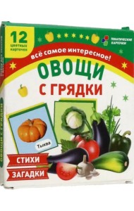 Овощи с грядки. 12 цветных карточек. Стихи и загадки