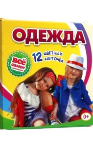 Одежда. 12 развивающих карточек с красочными