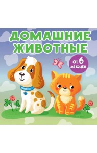 Домашние животные