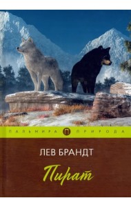 Пират. Повести и рассказы
