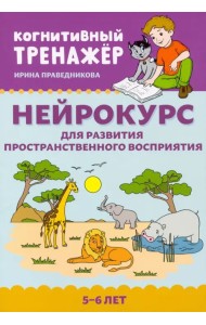 Нейрокурс для развития пространственного восприятия. 5-6 лет
