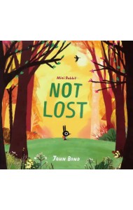 Mini Rabbit Not Lost