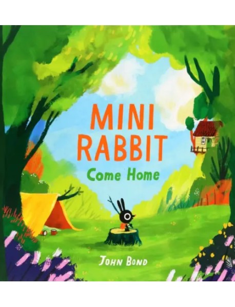 Mini Rabbit Come Home