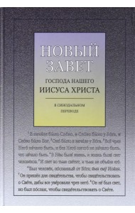 Новый Завет Господа нашего Иисуса Христа в Синодальном переводе, с ударениями