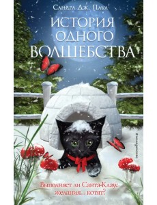 История одного волшебства