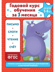 Годовой курс обучения за три месяца. Для детей 5-6 лет