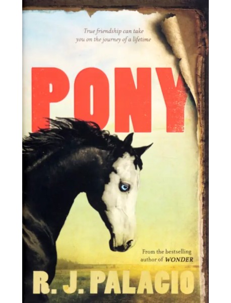 Pony